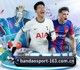 半岛体育 APP | BANDAO